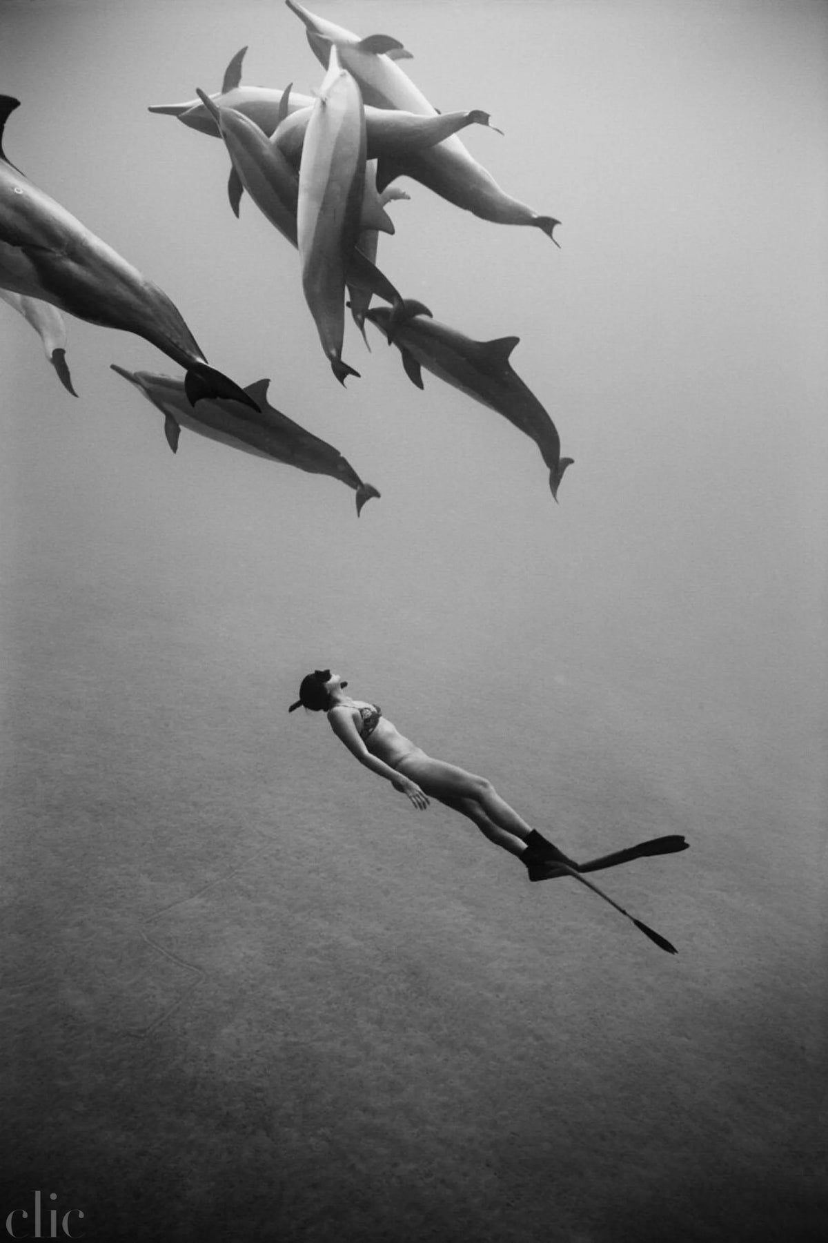 Kimi Werner with Dolphins #1 (B-339) by Wayne Levin