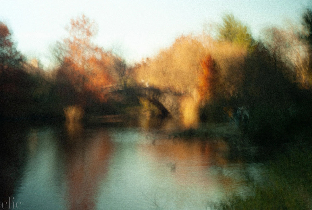 Central Park 2 by Gregg Delman