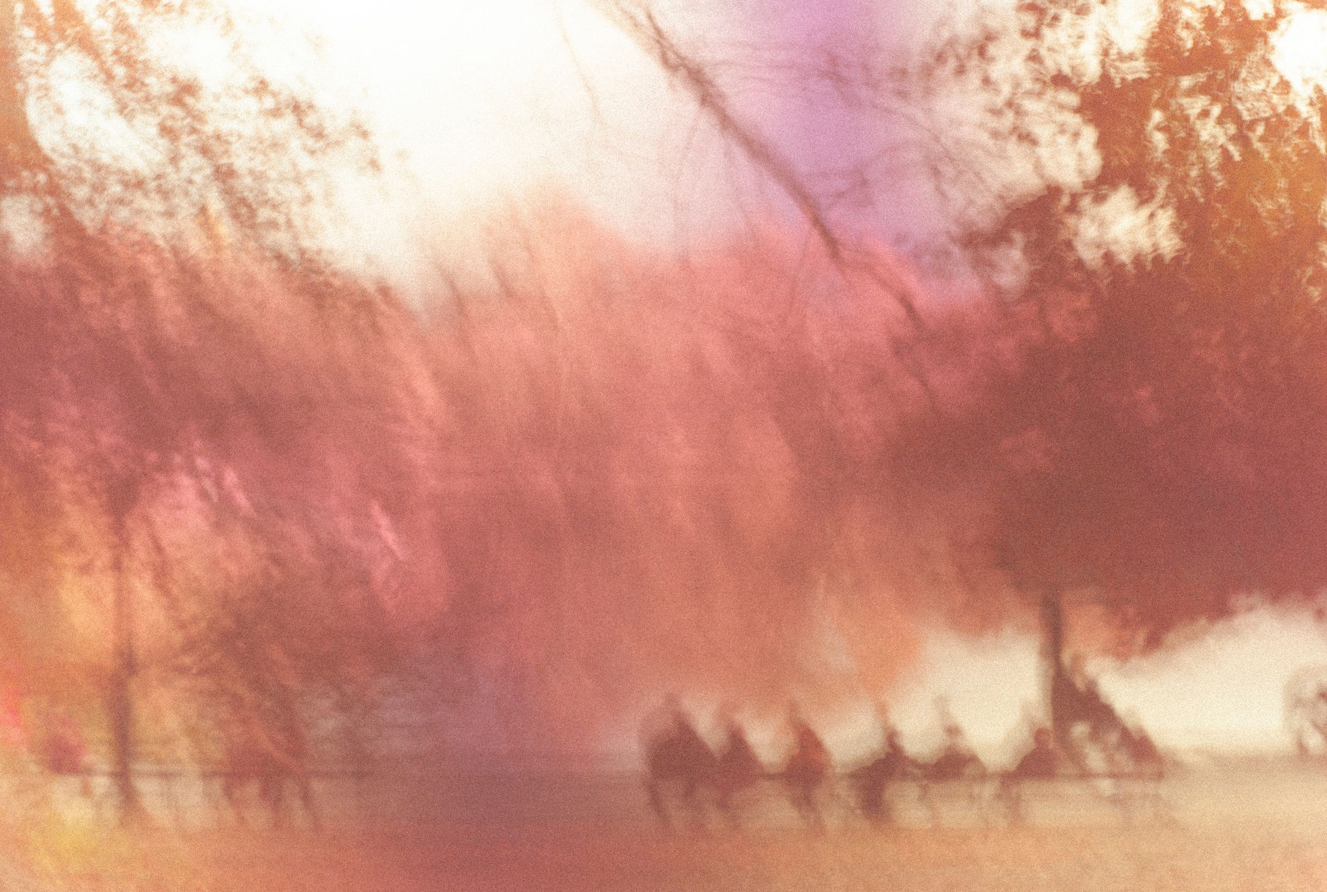 Central Park 3 by Gregg Delman
