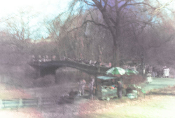 Central Park 4 by Gregg Delman