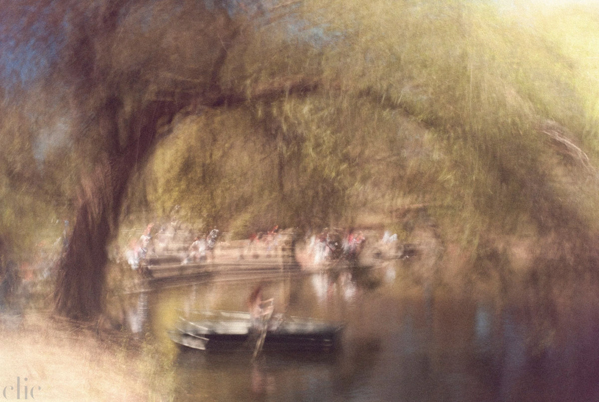 Central Park 6 by Gregg Delman
