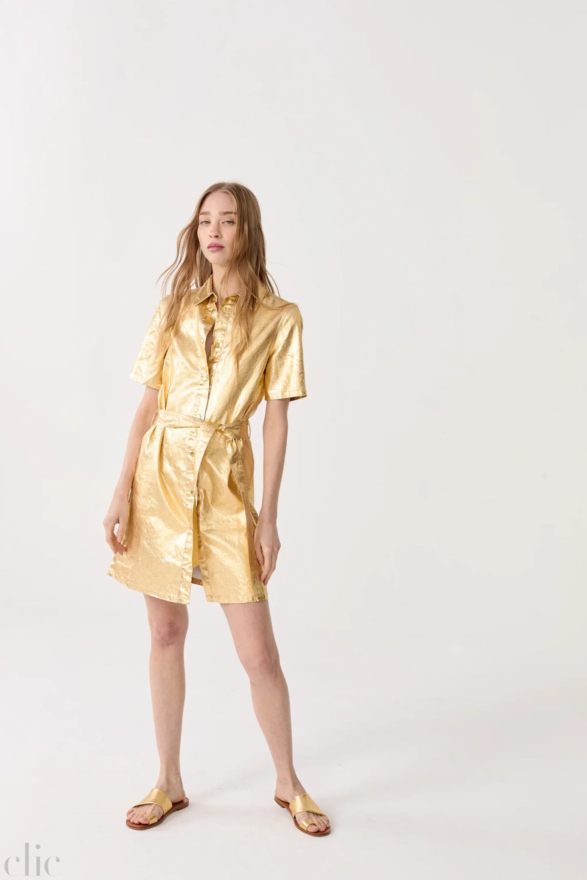 Franca Metallic Linen Dress in Gold, from Lanhtropy