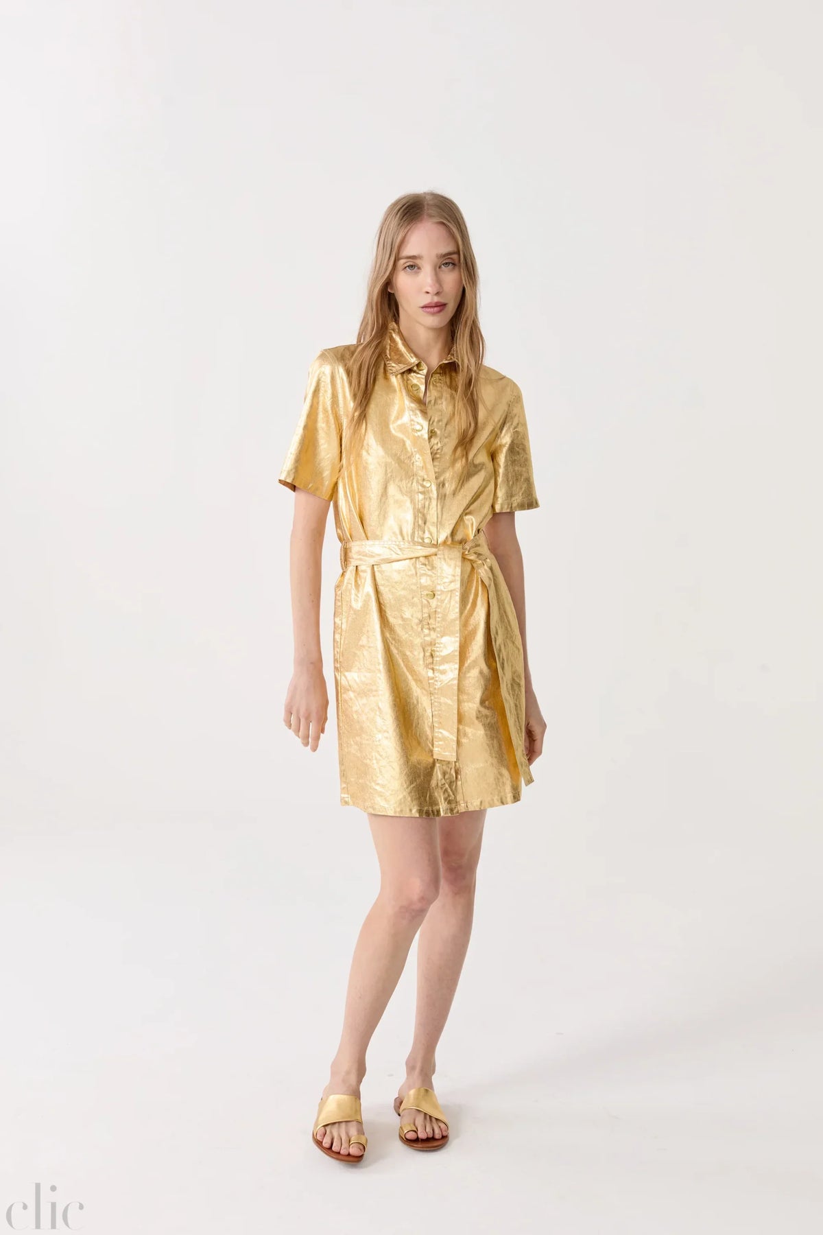 Franca Metallic Linen Dress in Gold, from Lanhtropy