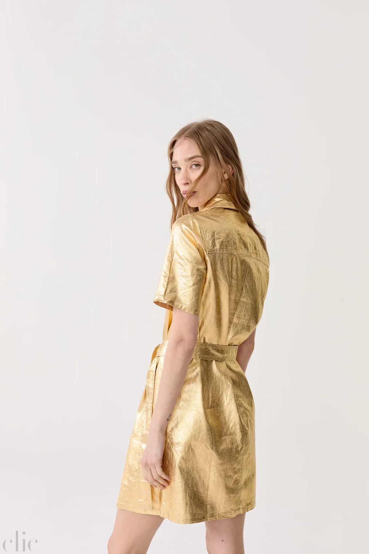 Franca Metallic Linen Dress in Gold, from Lanhtropy