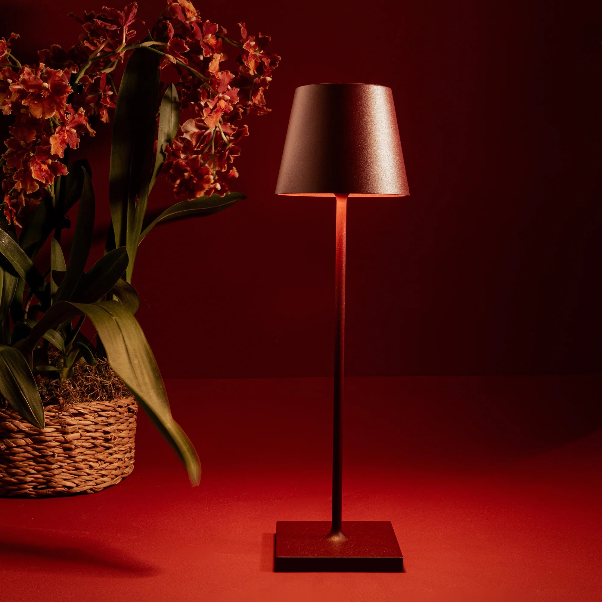 Poldina Pro Lamp in Bordeaux, from Zafferano