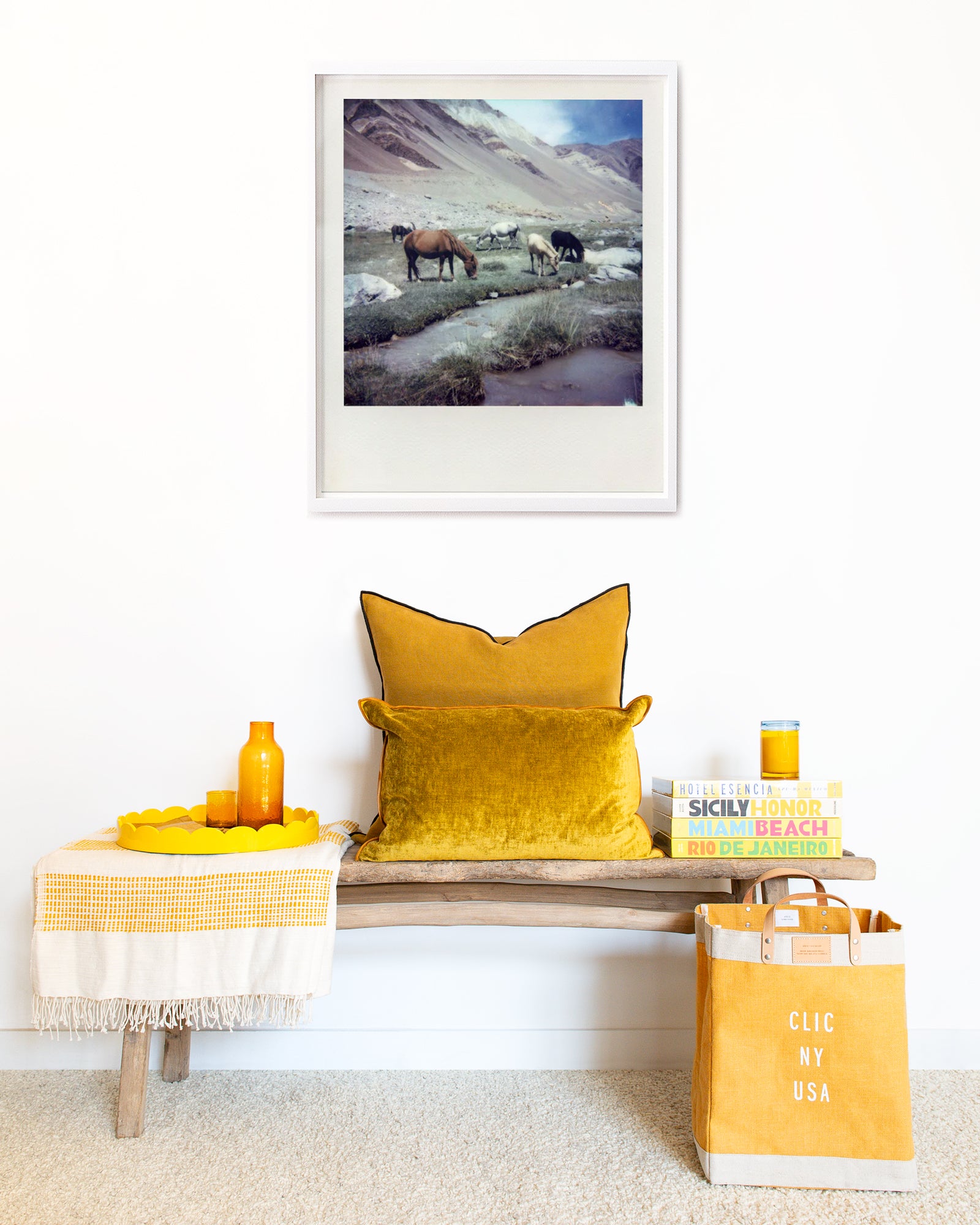 Ladakh Nomad Horses Polaroid by Dhagpo Lobsang