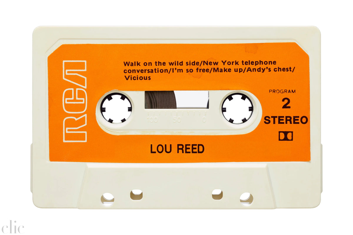 Lou Reed by Julien Roubinet