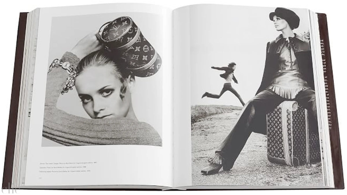 Louis Vuitton: The Birth of Modern Luxury Updated Edition