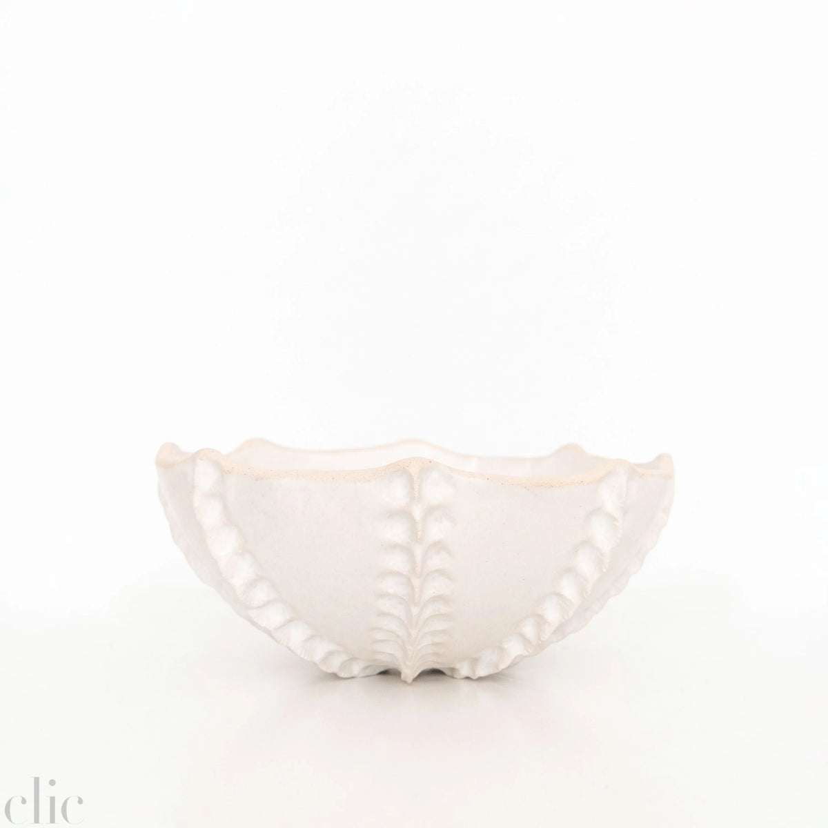 Large Sea Urchin Salad Bowl