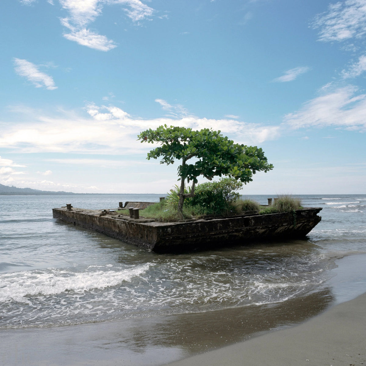 Puerto Viejo de Talamance, Limon Province, Costa Rica by Magda Biernat