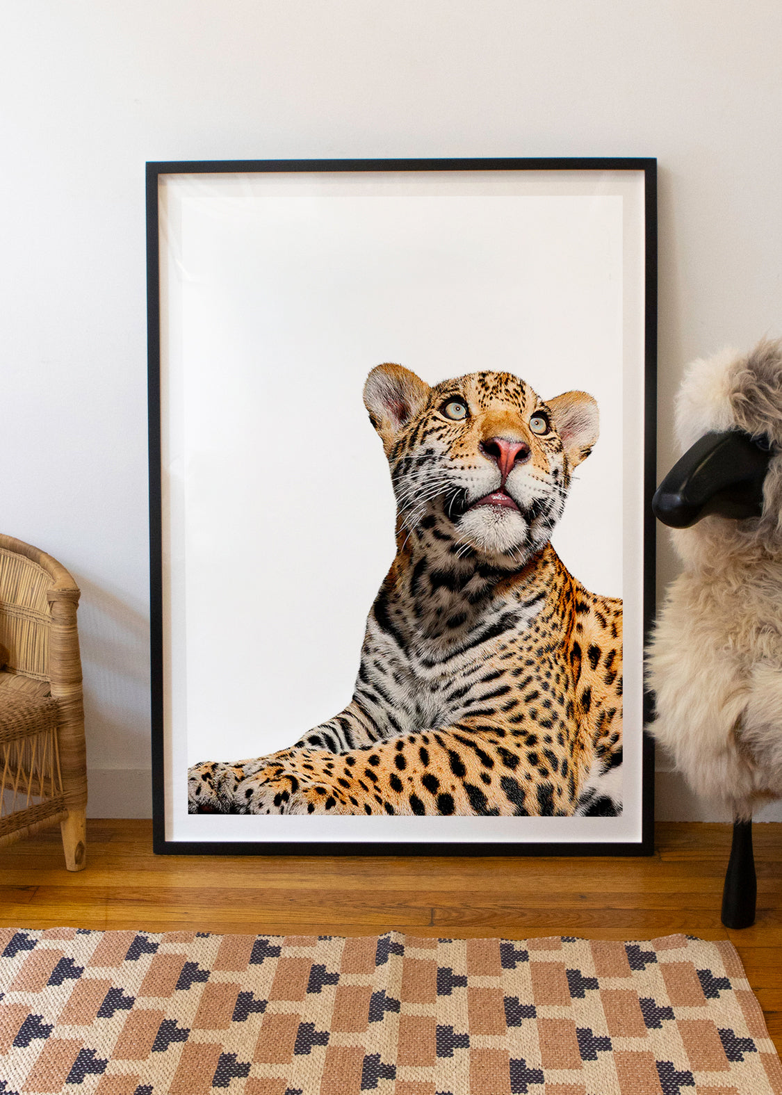 Mateo Looking Up by Shelli Breidenbach