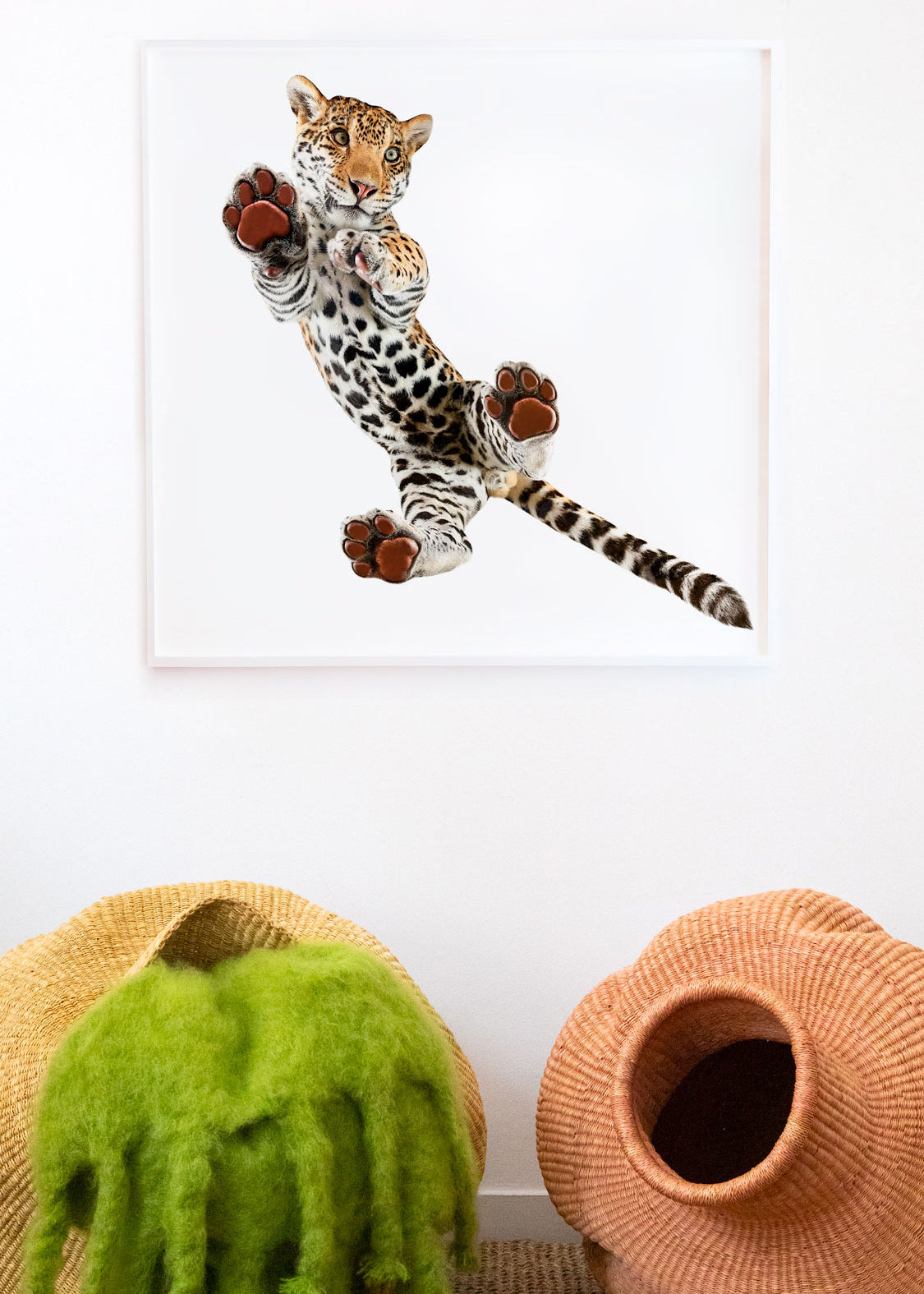 Mateo Portrait #1 by Shelli Breidenbach