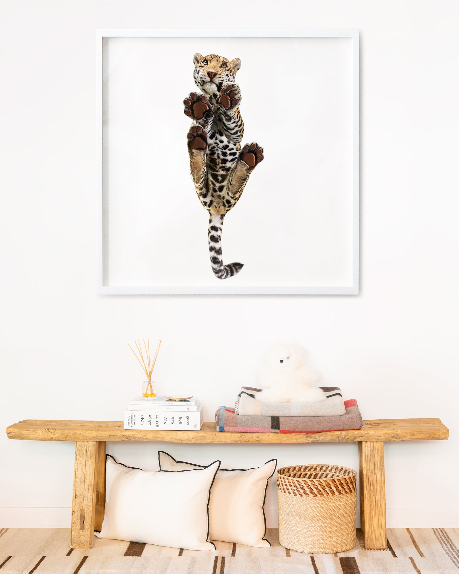 Mateo Portrait #2 by Shelli Breidenbach