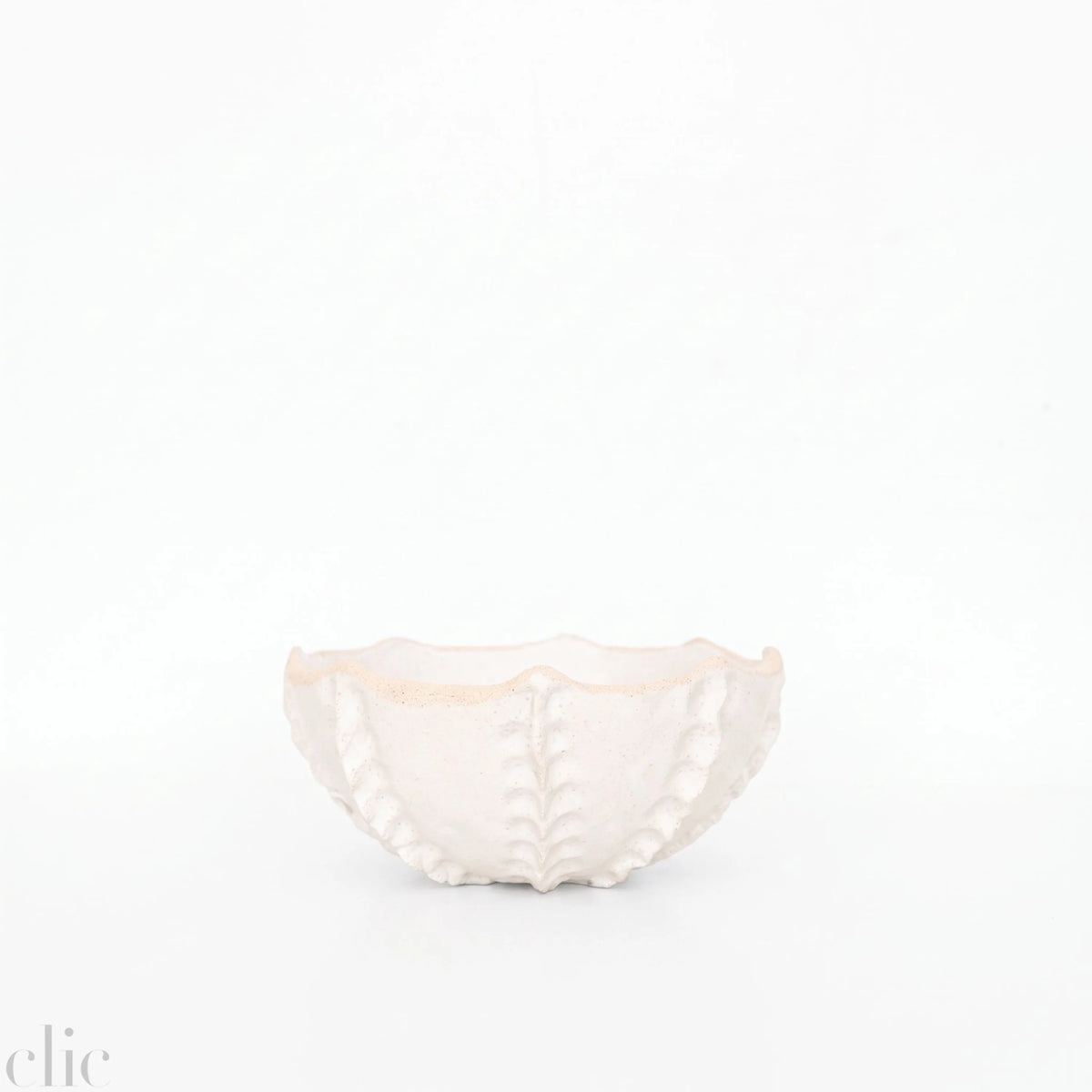 Medium Sea Urchin Bowl in White