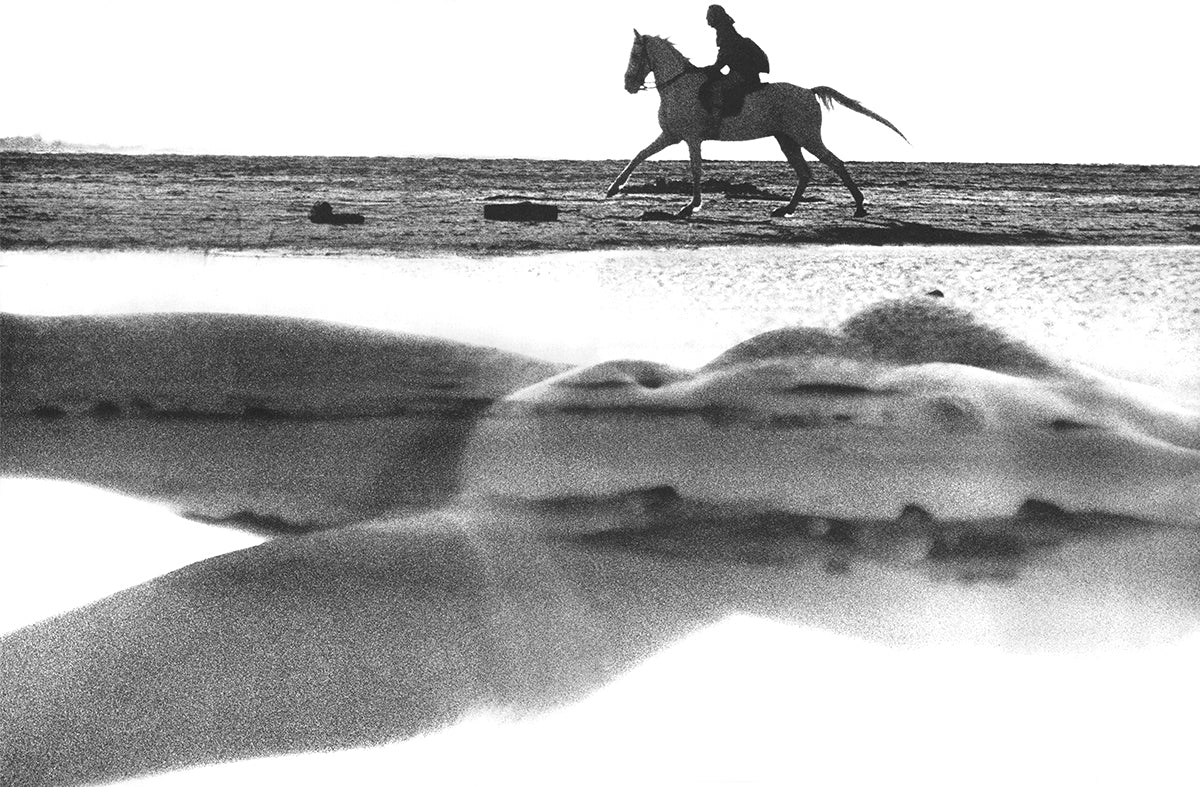 November Girl - Horse Galloping on the Beach by Sam Haskins