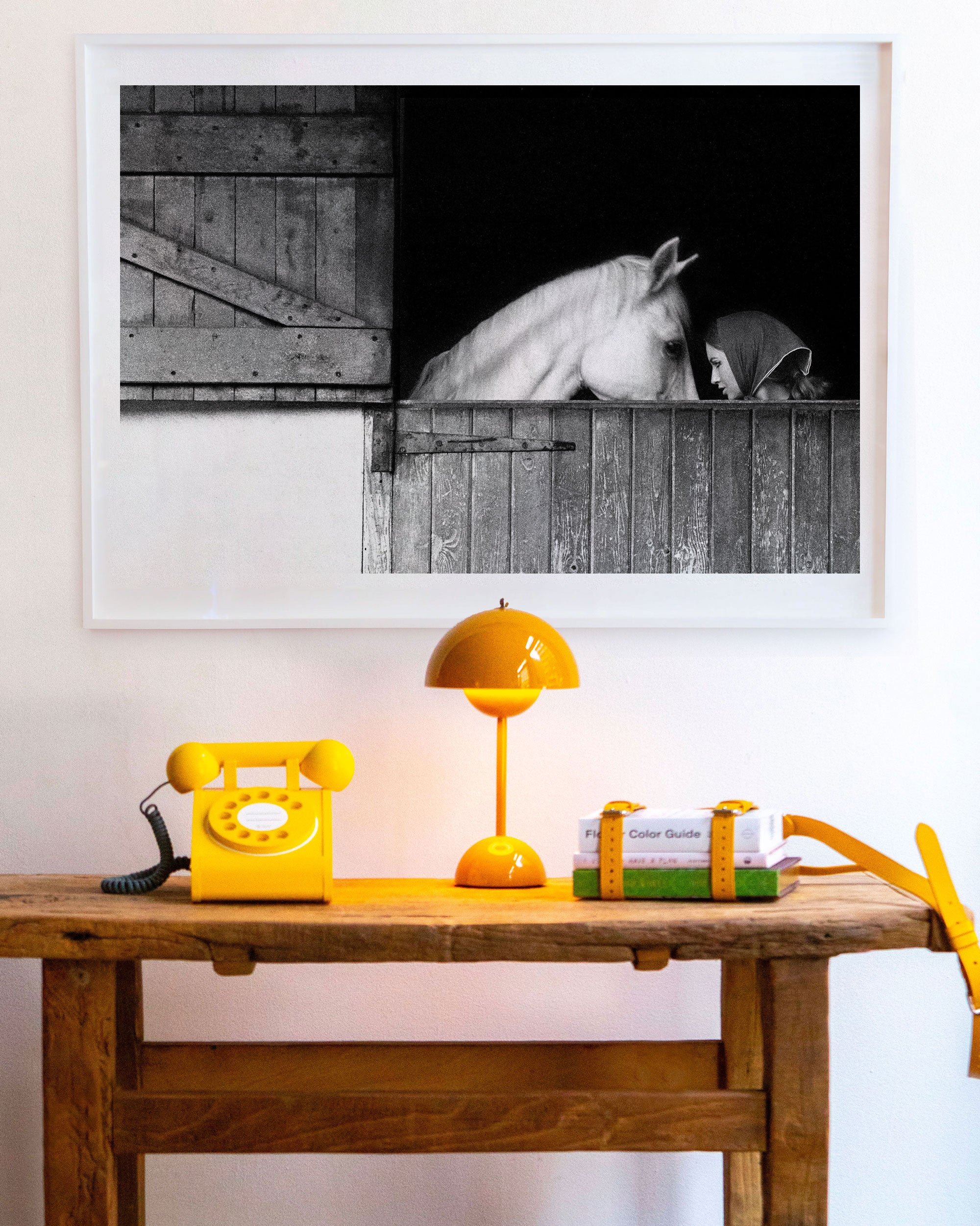 November Girl Stable by Sam Haskins