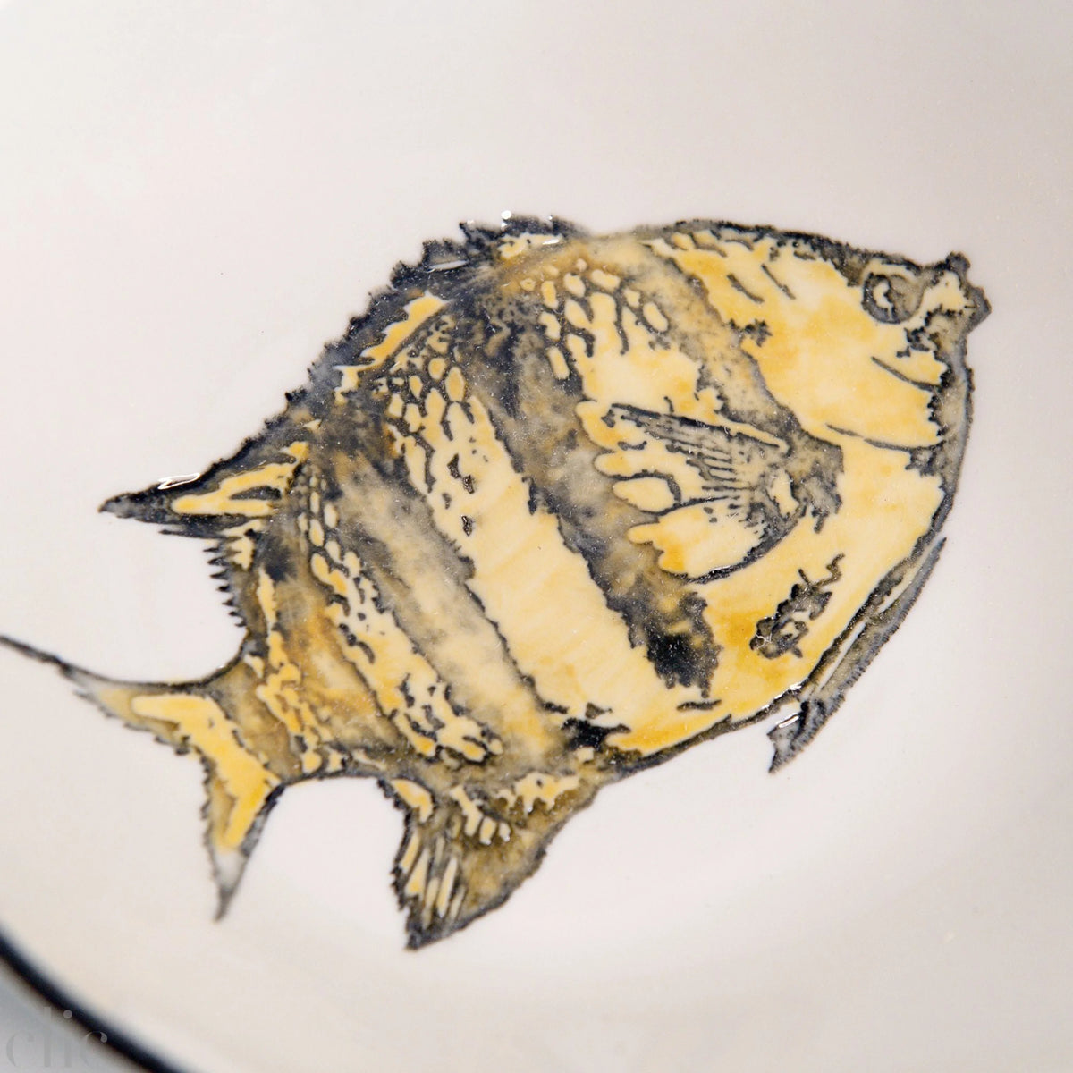 Small Ocean Bowl, from Bertozzi