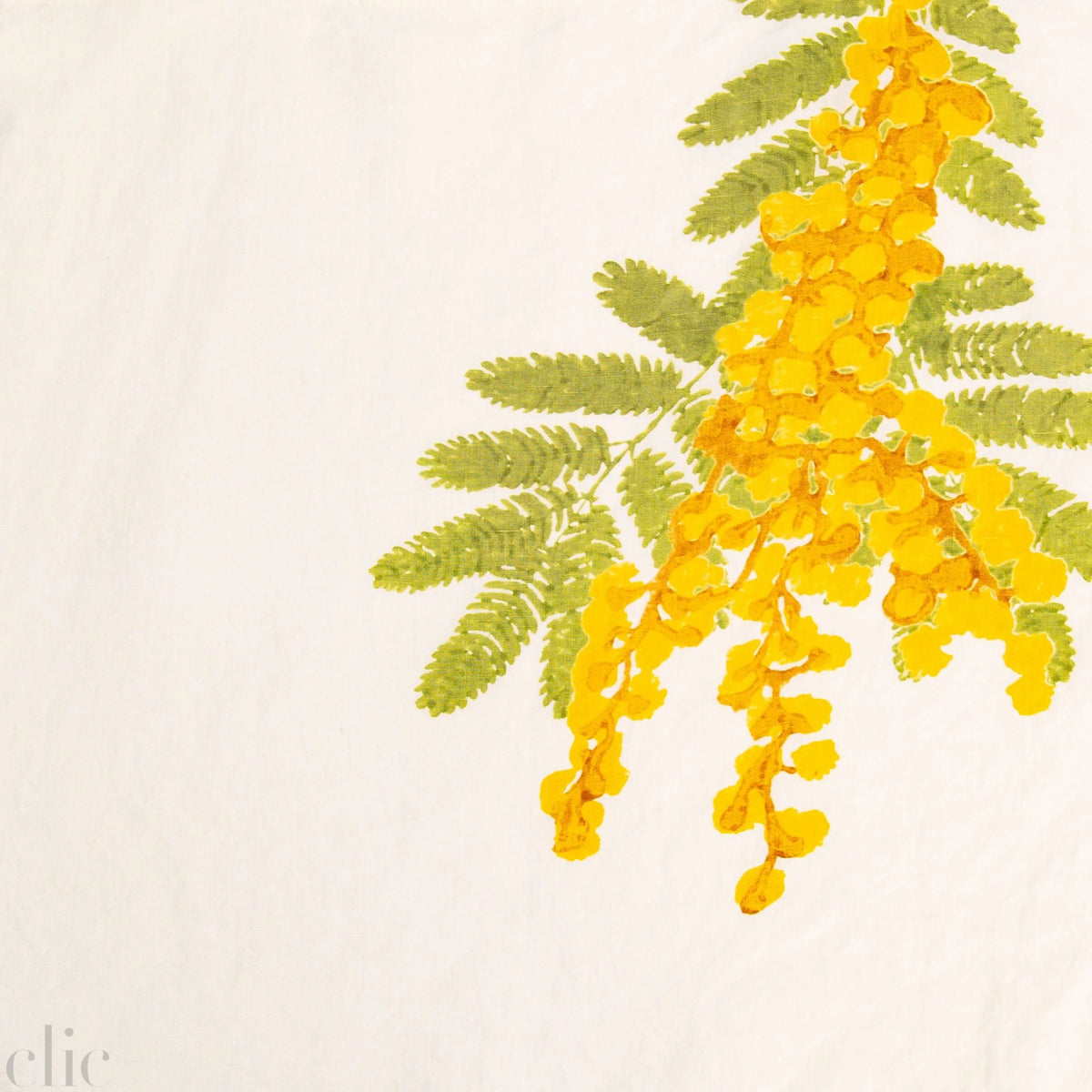 Mimosa Napkin, from Bertozzi