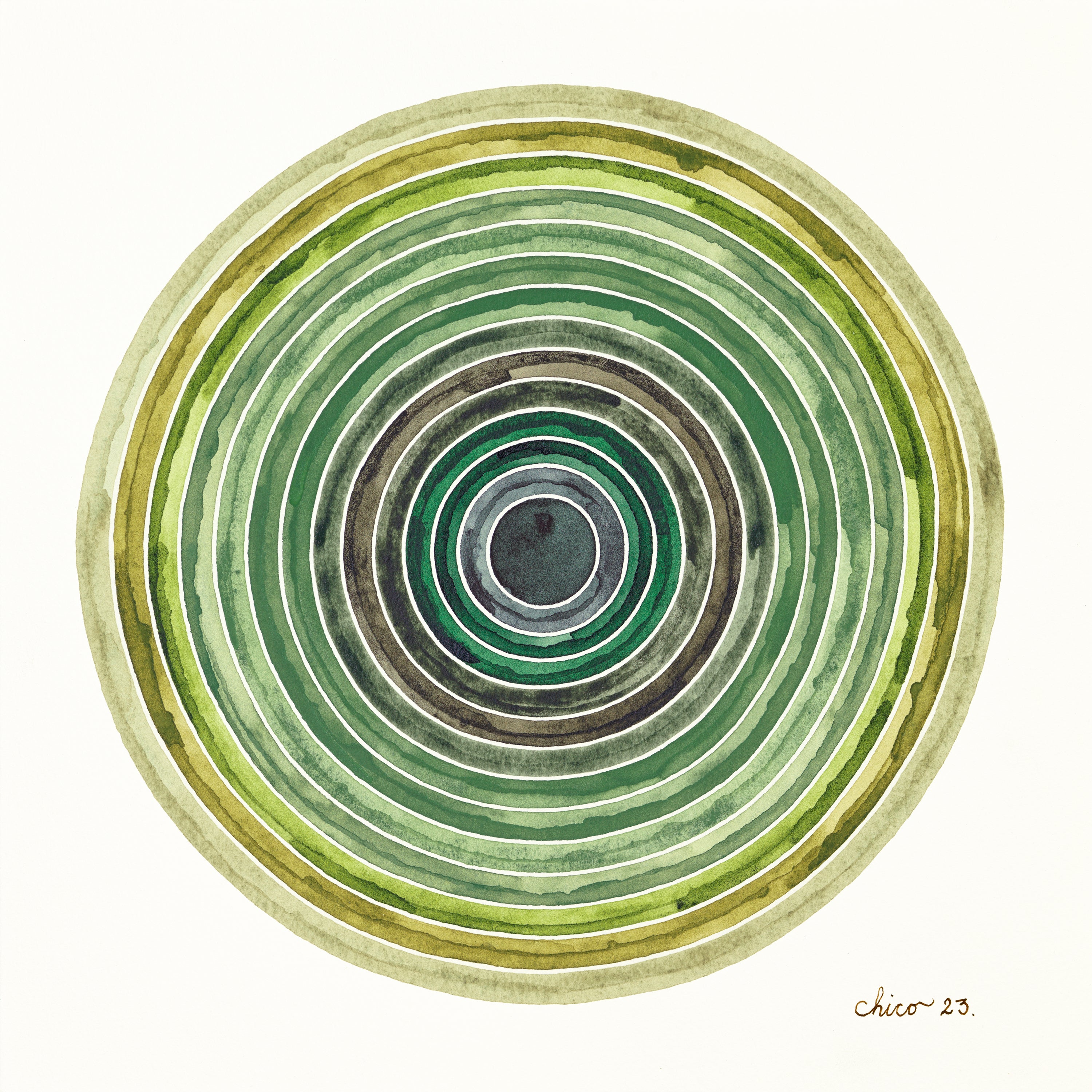 Olive by Chico