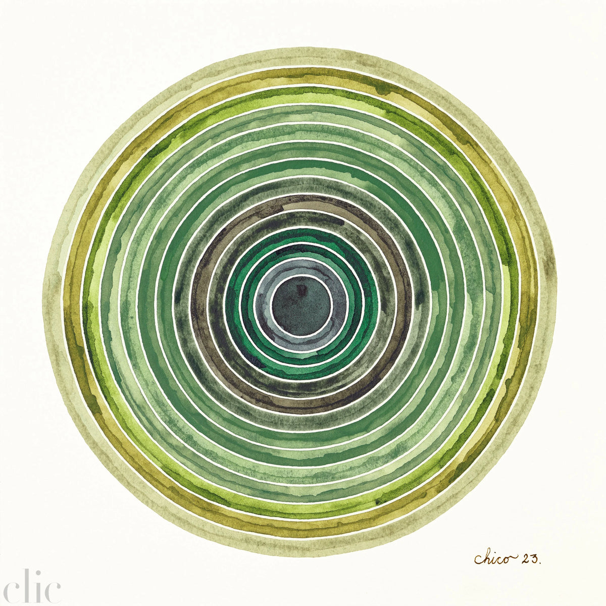 Olive by Chico