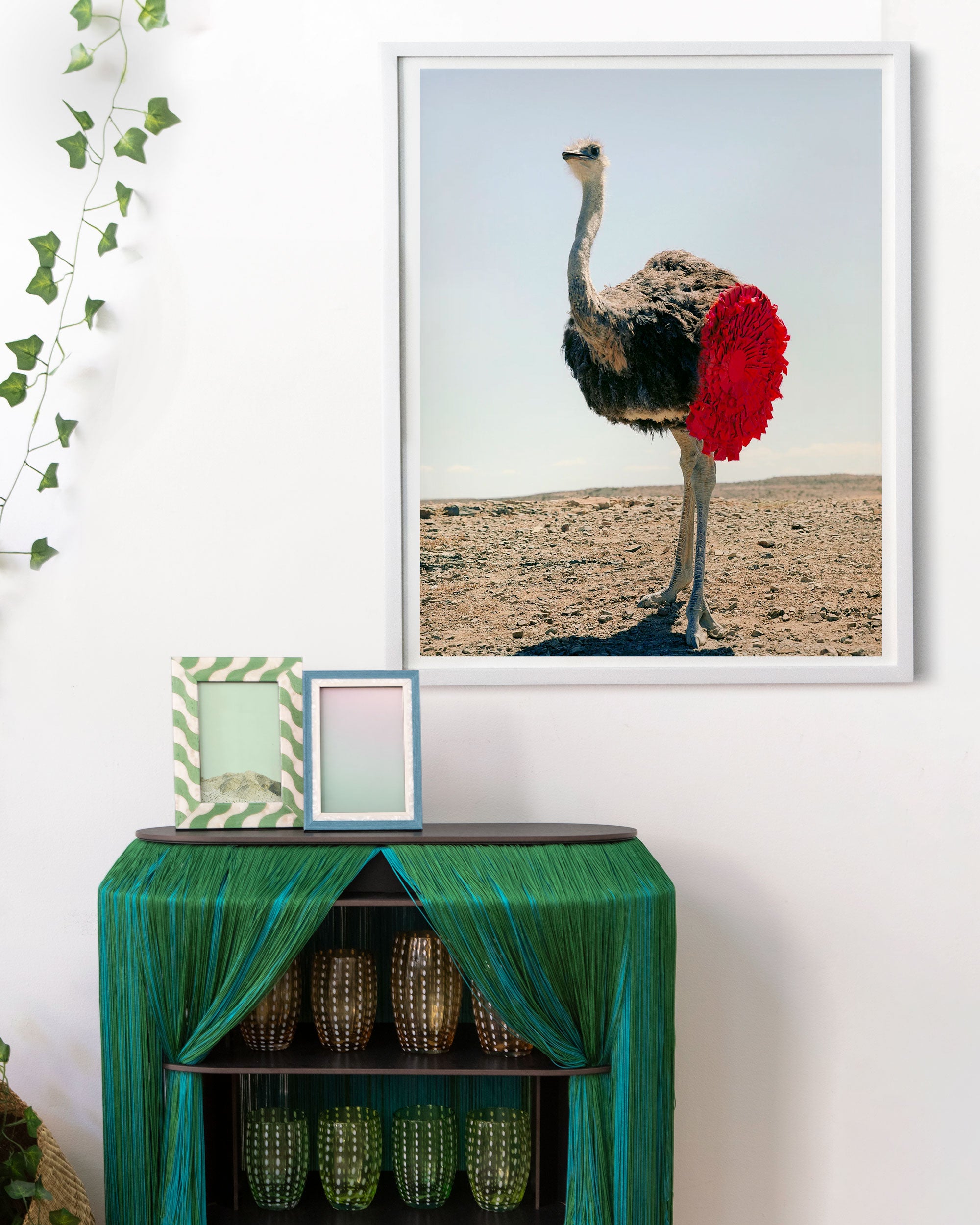 Ostrich by Kevin Mackintosh