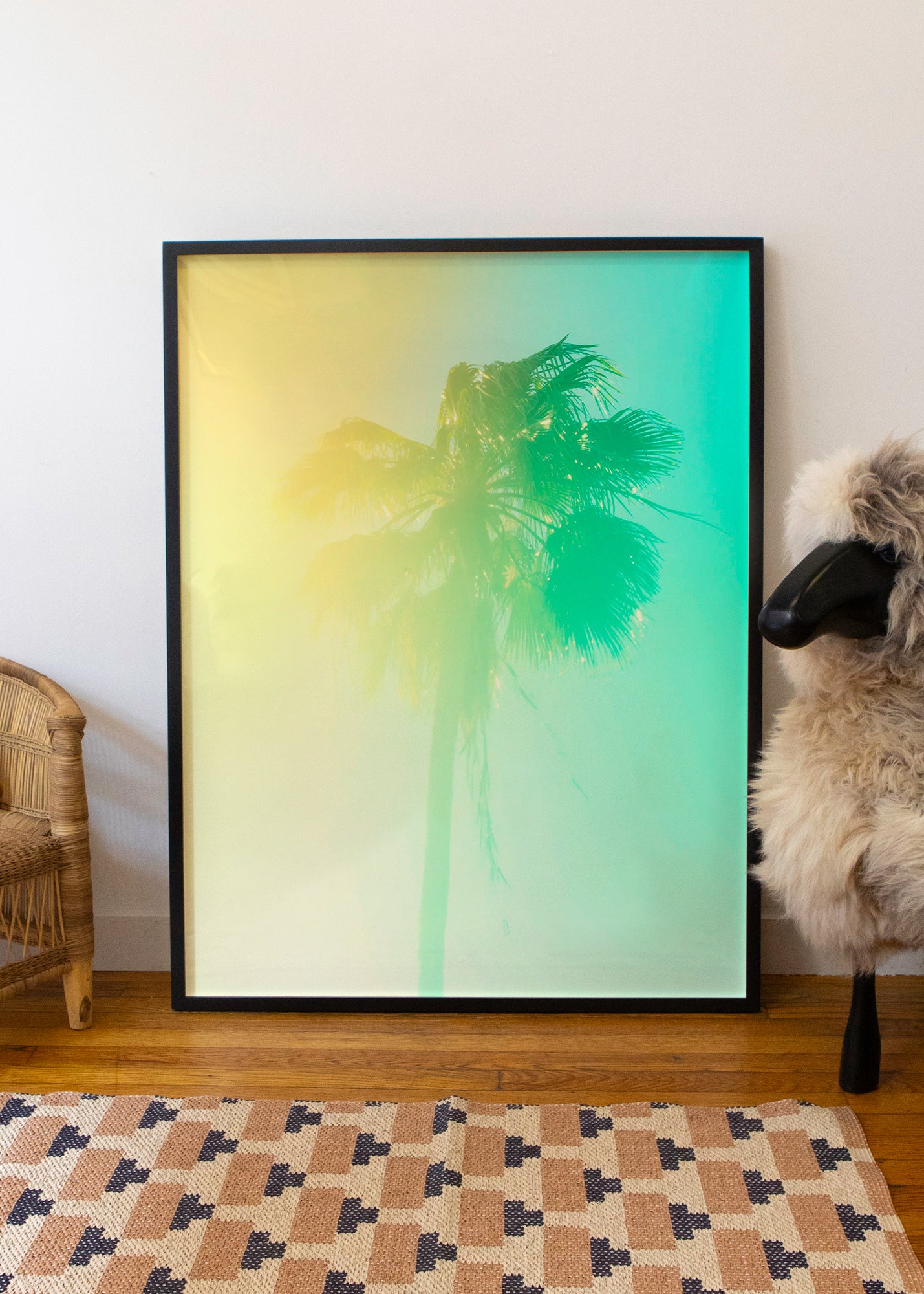 Palm 16 Turks and Caicos by Tommy Kwak