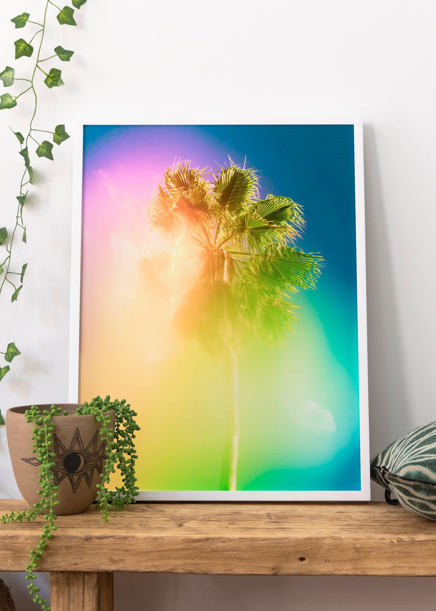 Palm 19 Turks and Caicos by Tommy Kwak