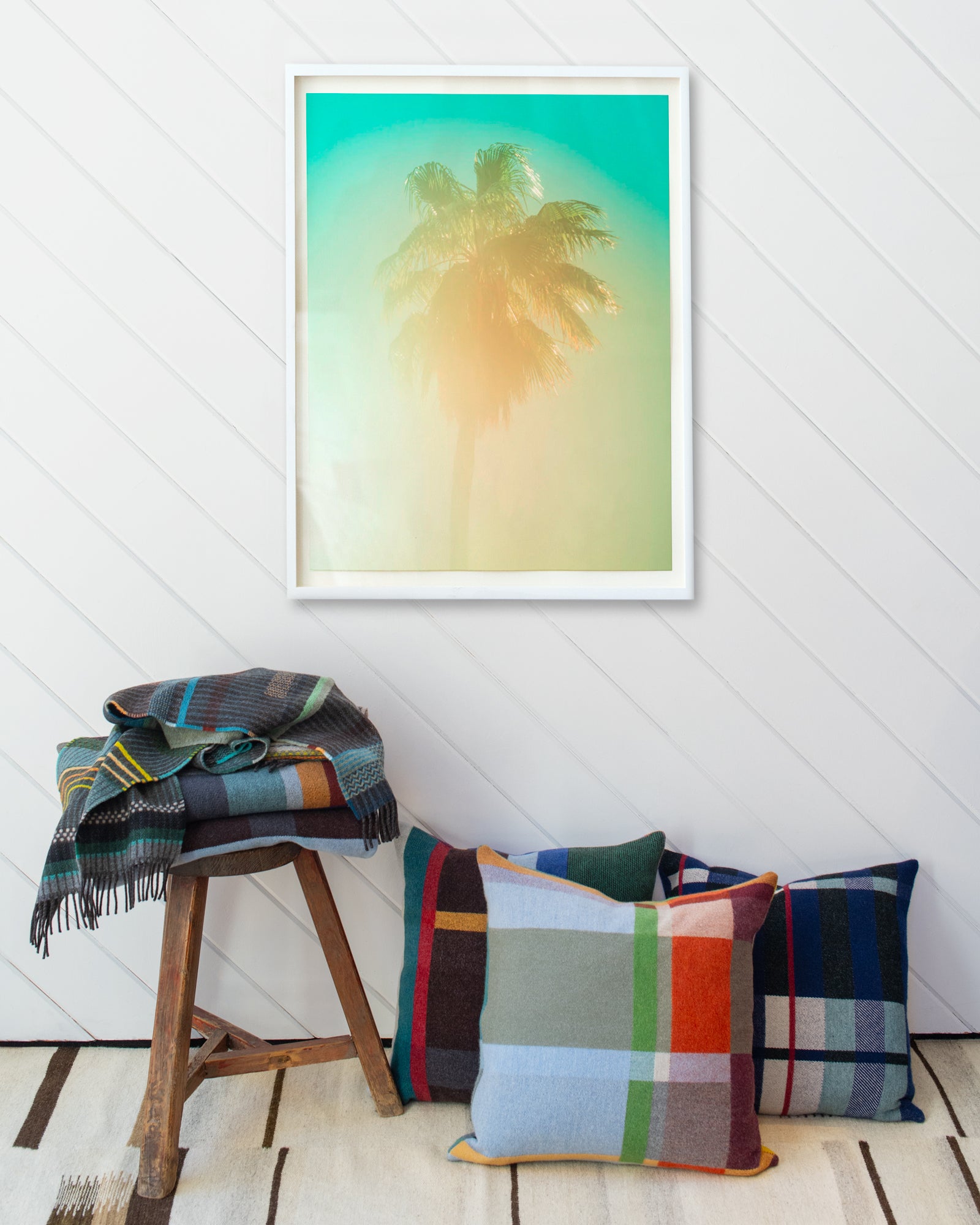 Palm 8 Turks and Caicos by Tommy Kwak