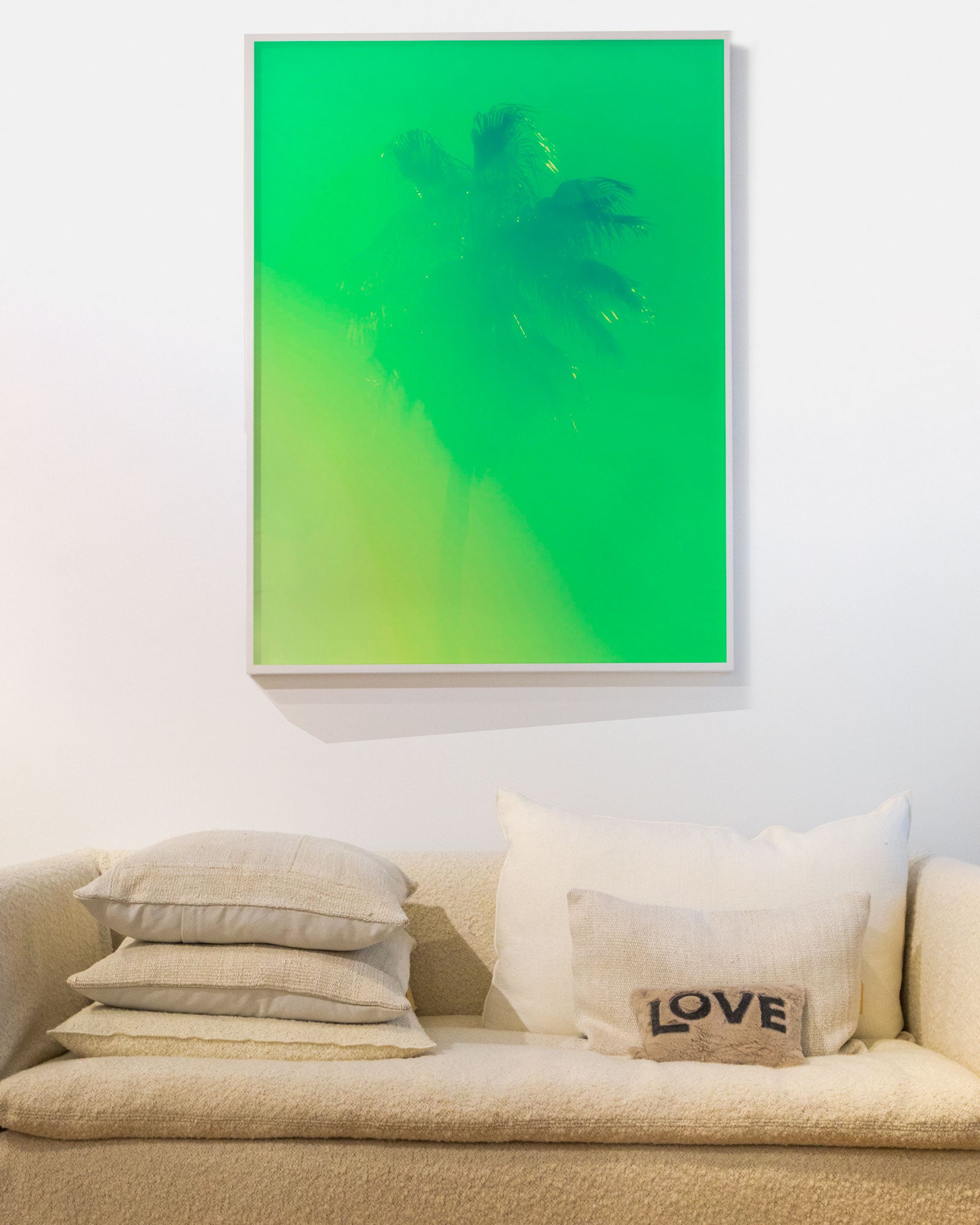 Palm Tree 11 by Tommy Kwak