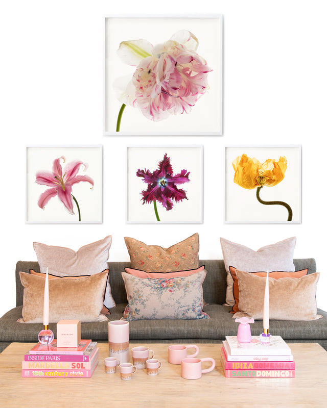 SHOP HOME