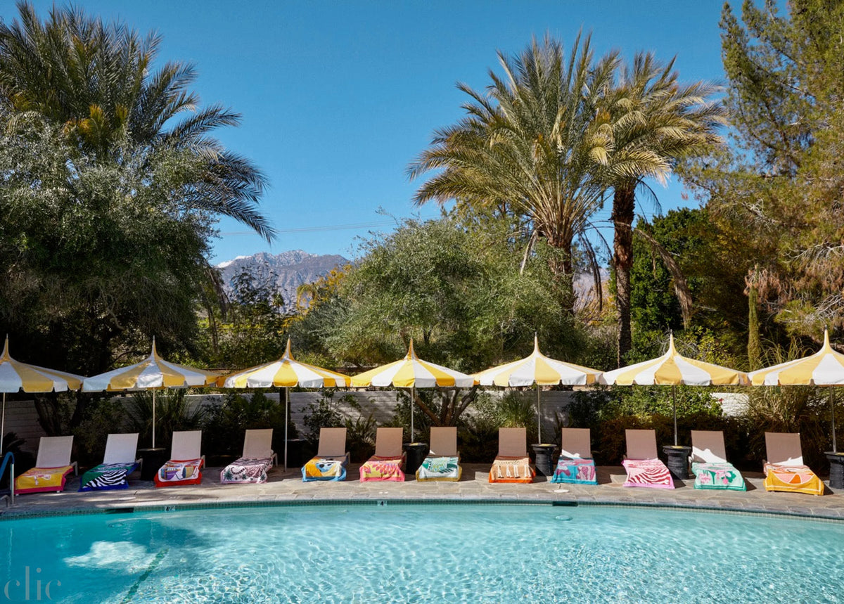 Parker Palm Springs, Palm Springs, California, USA, 2023 by Tierney Gearon