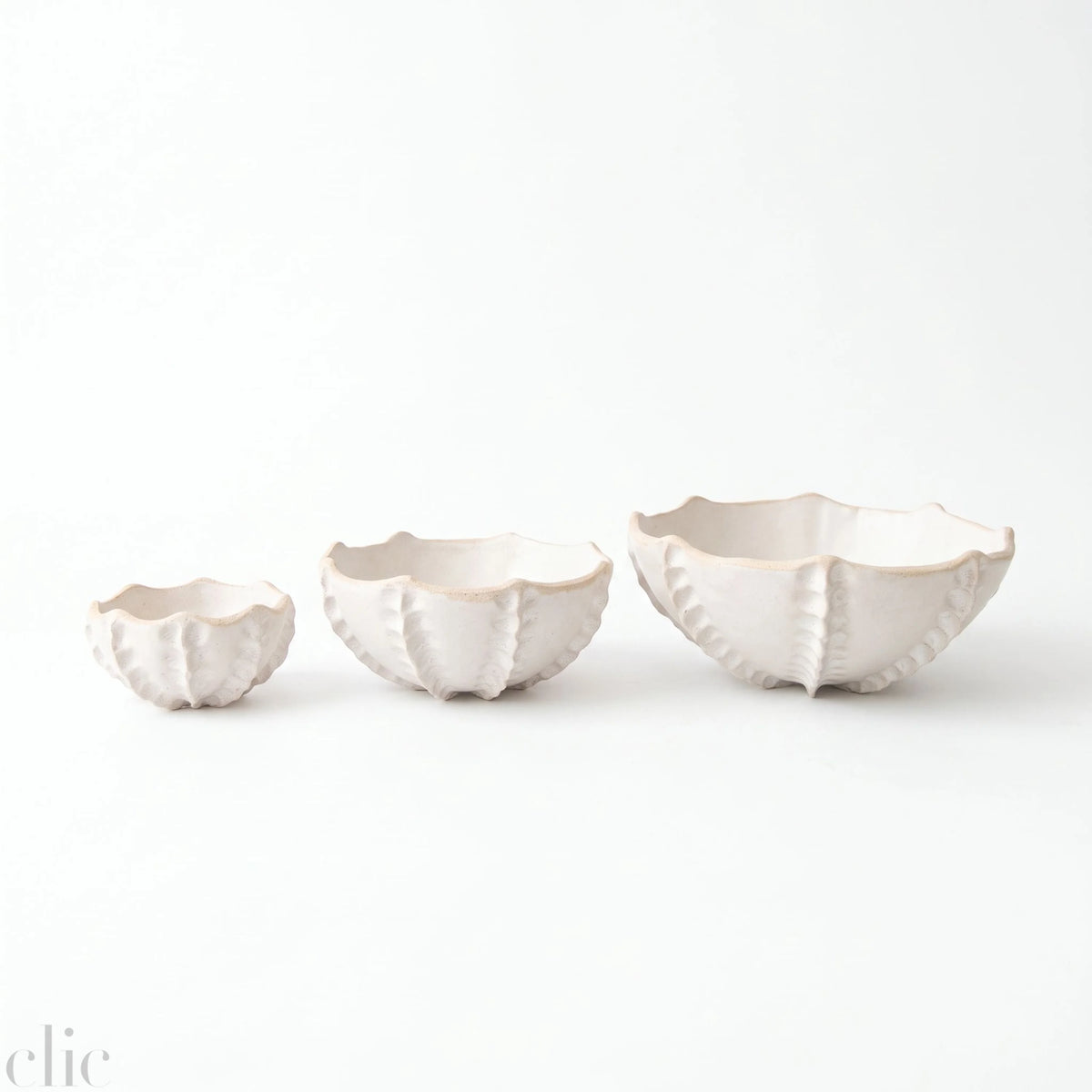 Large Sea Urchin Salad Bowl