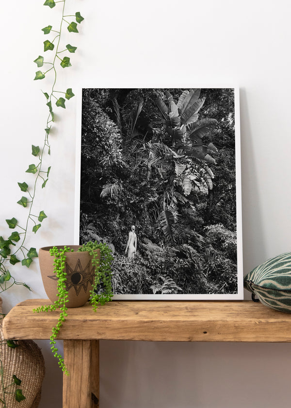 Rainforest by Pottsy