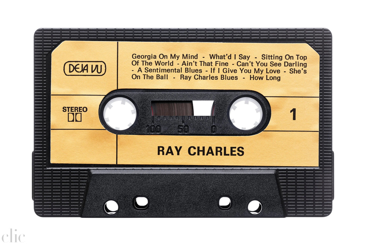 Ray Charles by Julien Roubinet