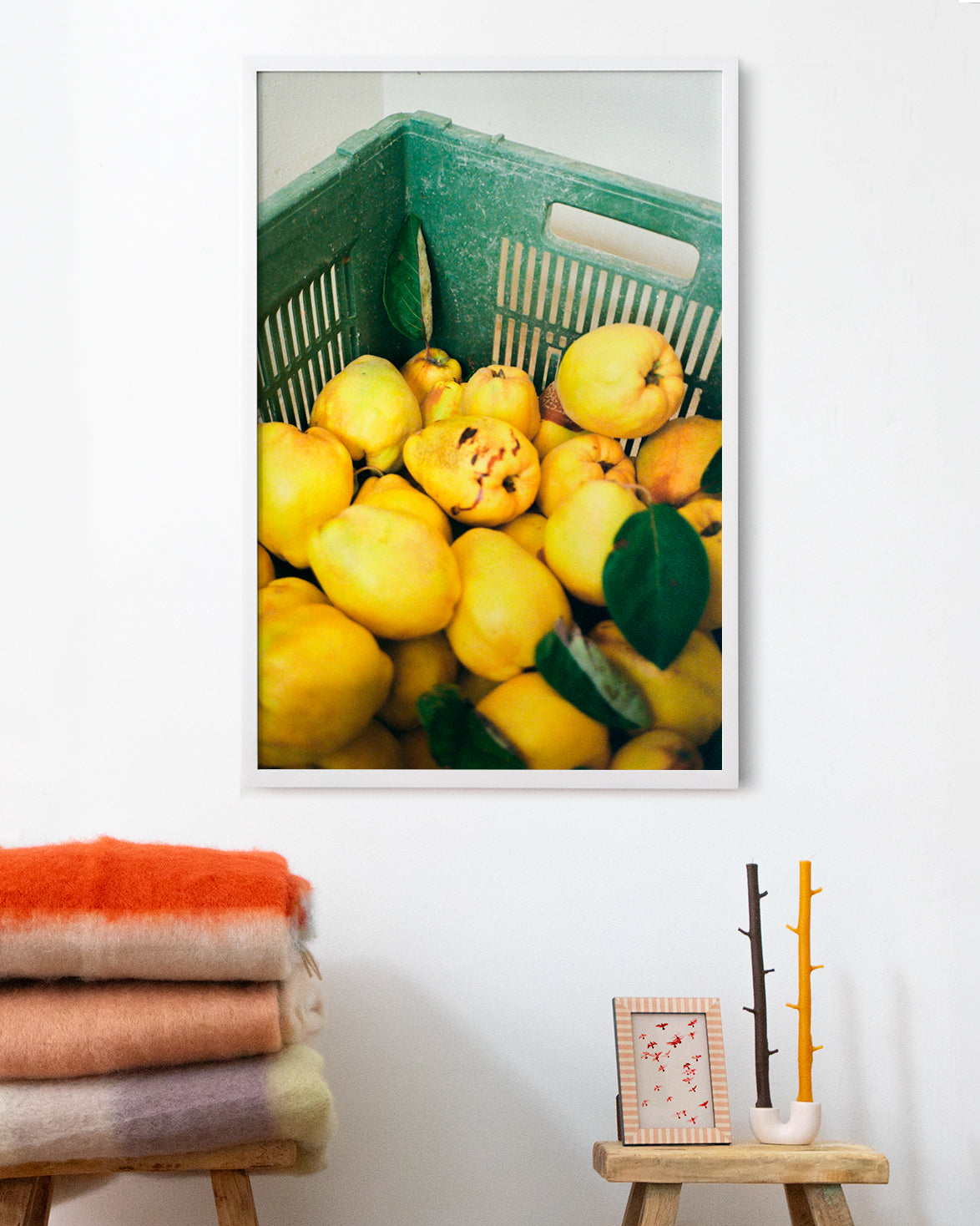 Ripe Quince (Film) by Nathalie Martinez