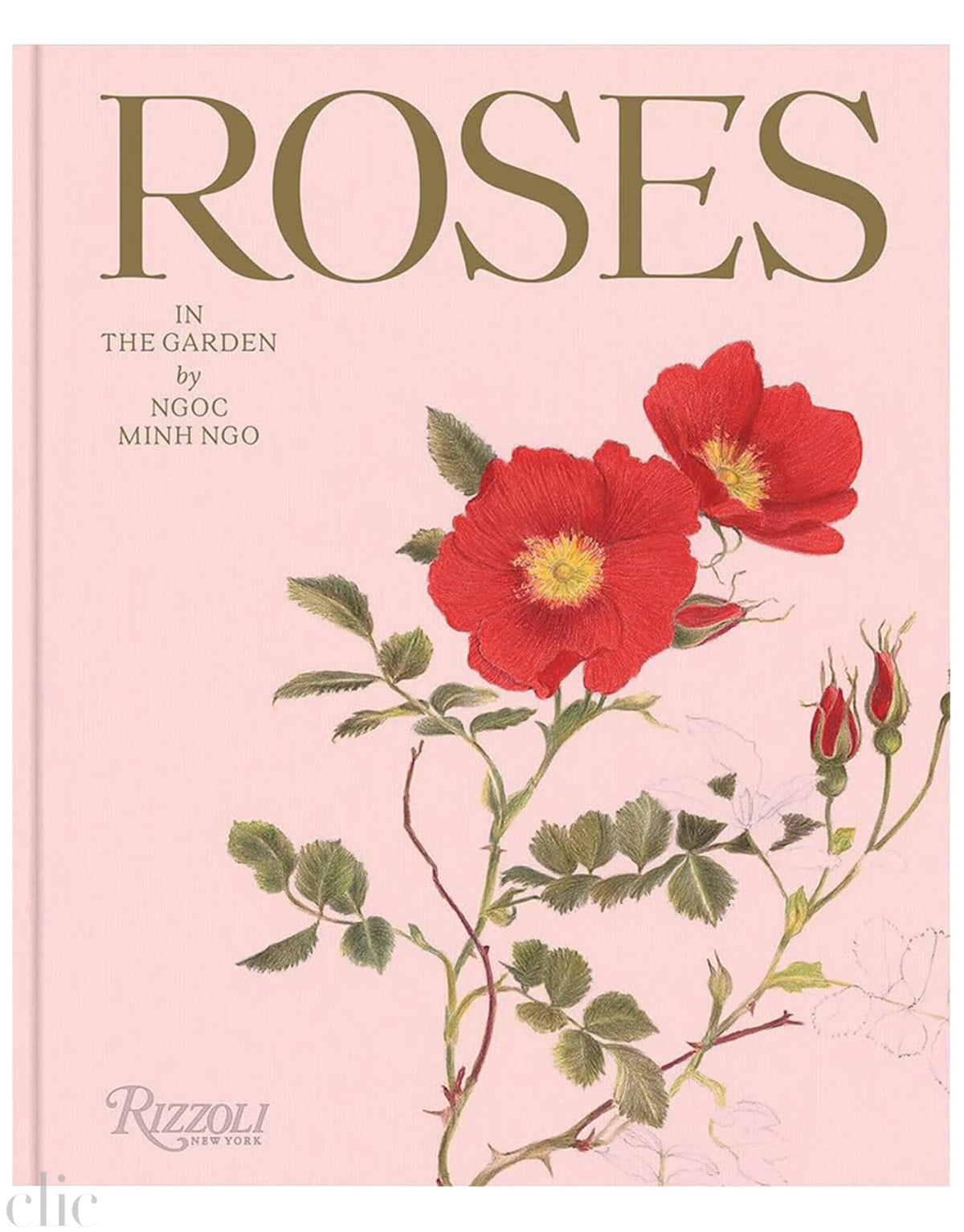 Roses in the Garden