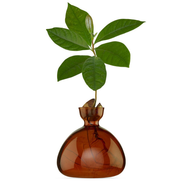Avocado Vase, from ILEX Studio