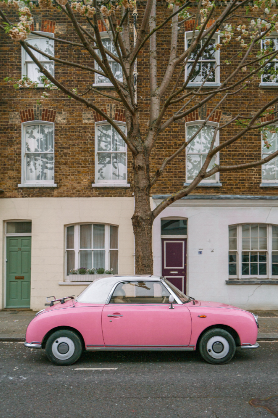 Le Pink Figaro by Carley Rudd