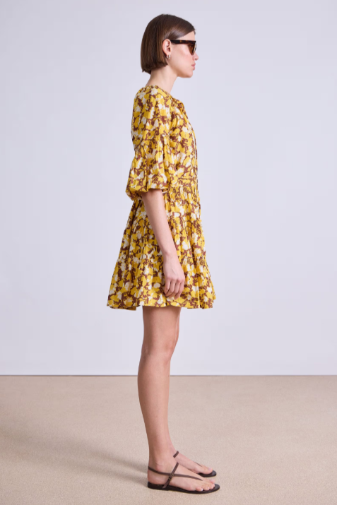Cefalu Mini Dress in Alina Floral Sunshine, from Apiece Apart