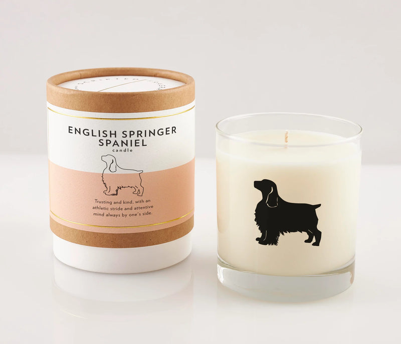 English Springer Spaniel Dog Candle, from Scripted Fragences