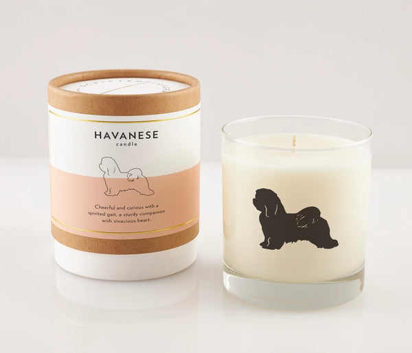 Havanese dog Soy Candle, from Scripted Fragrance