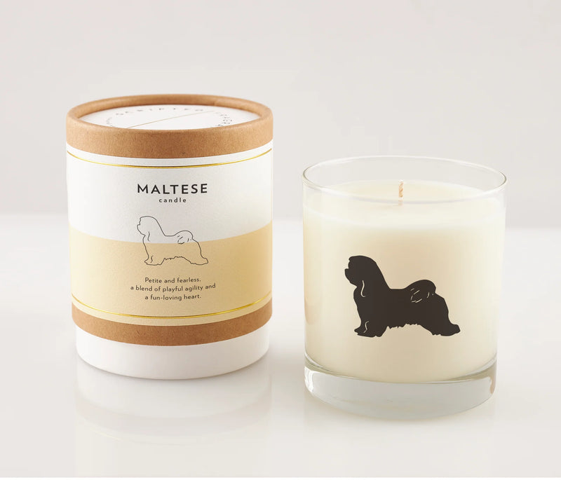 Maltise Dog Soy Candle, from Scripted Fragrance