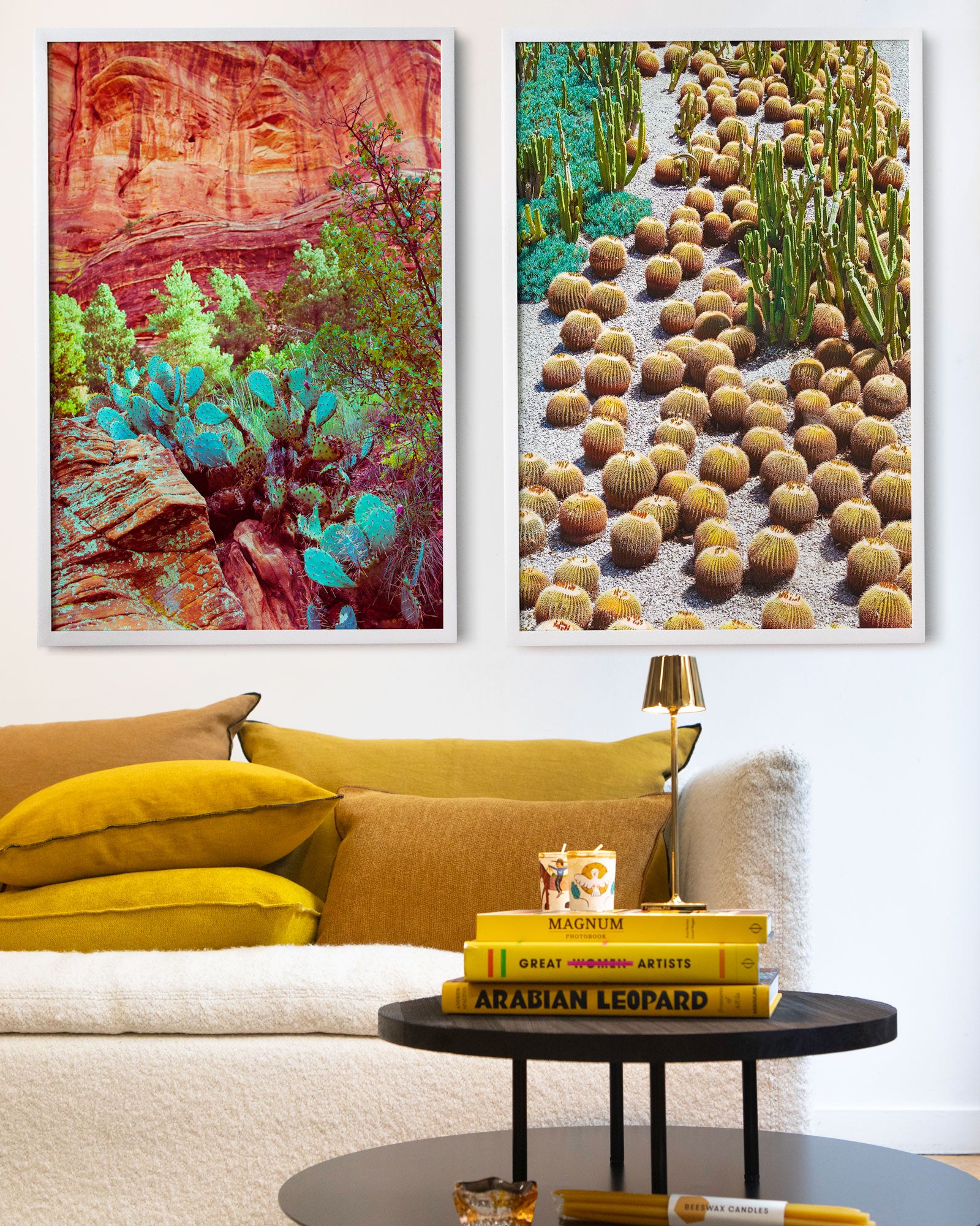 Sedona Cactus II by Pottsy