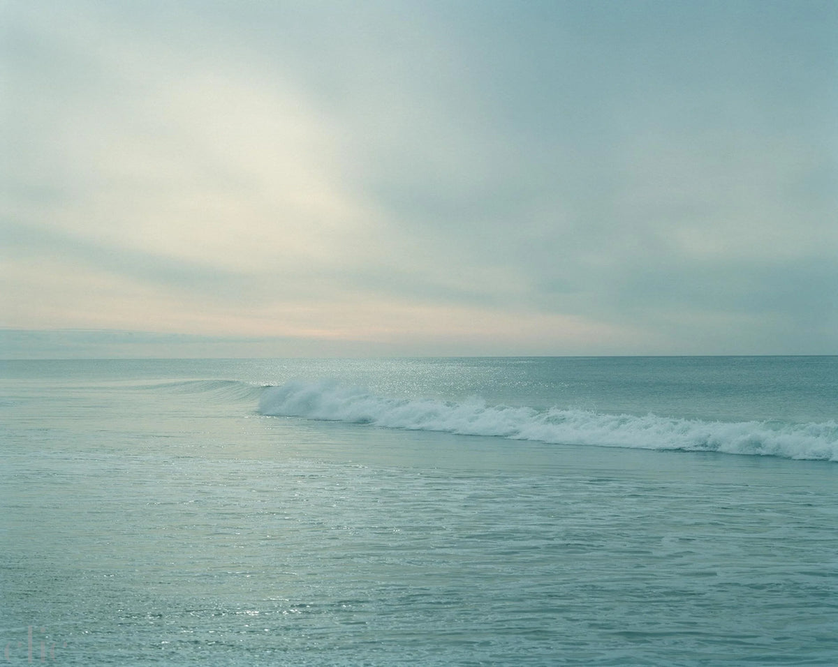 Shimmer by Tria Giovan