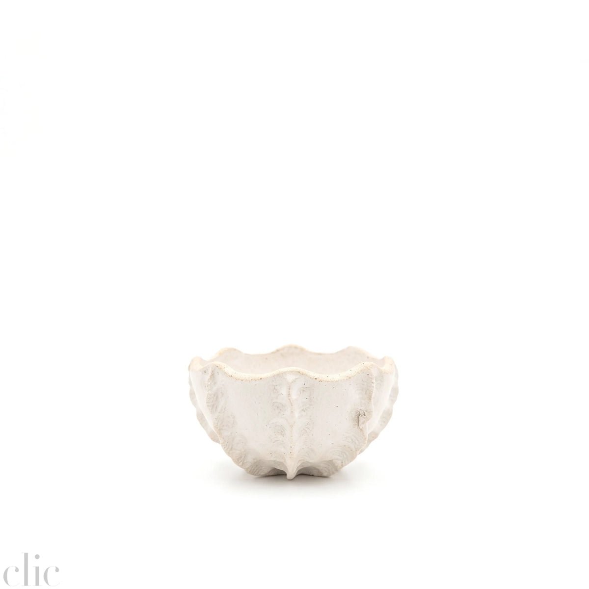 Small Sea Urchin Salad Bowl in White