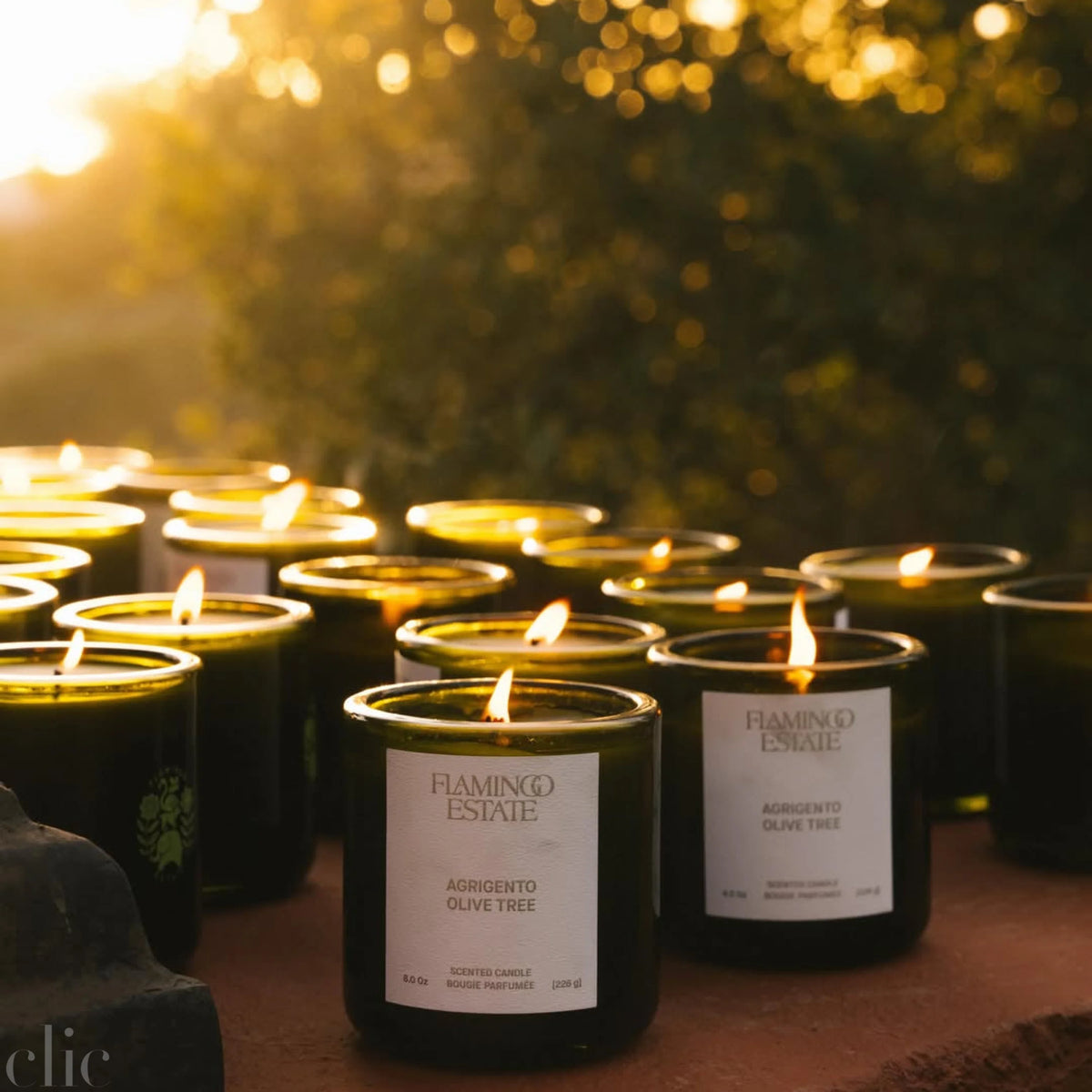 Olive Tree Candle, from Flamingo Estate