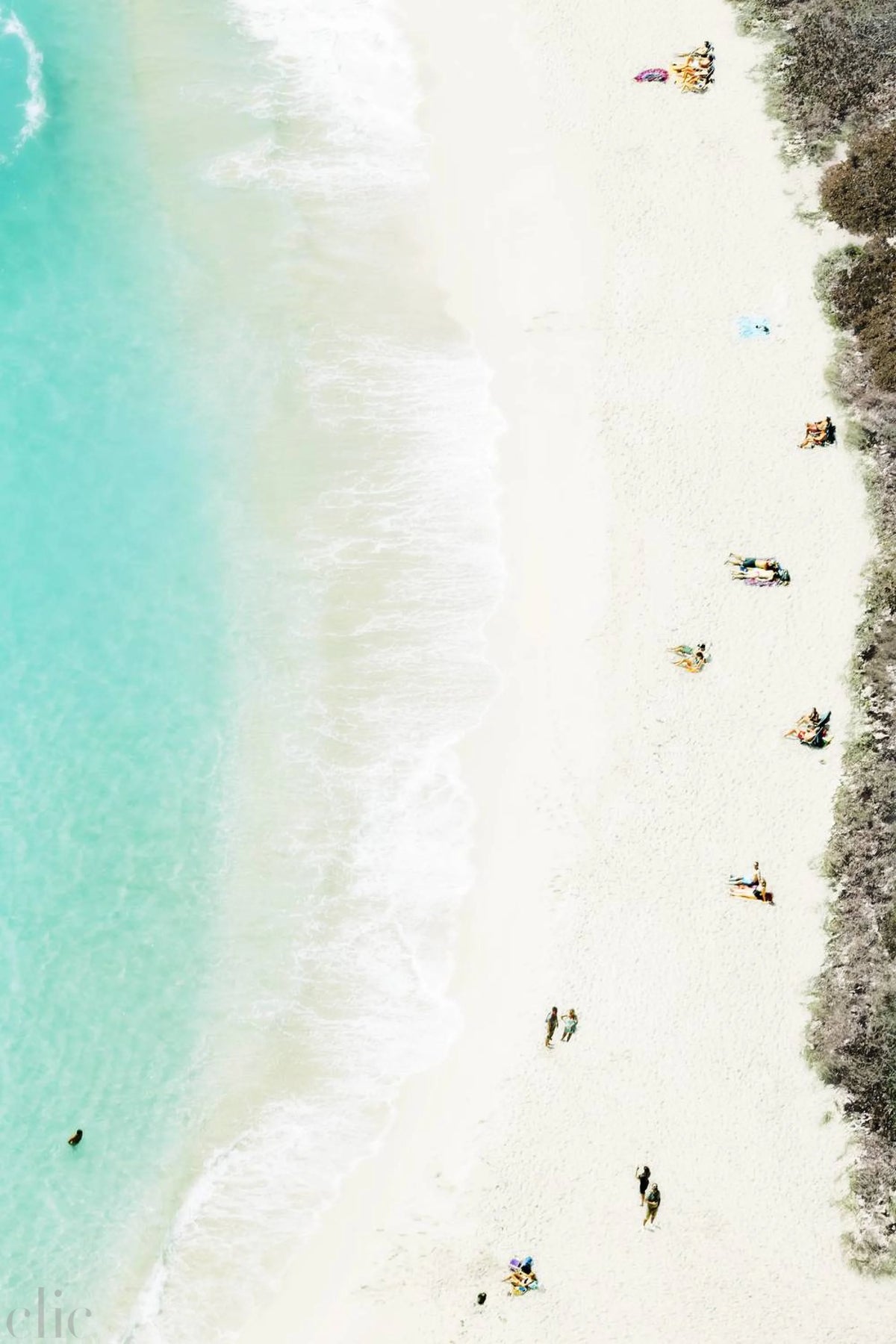Walking on the Beach by Stephane Dessaint