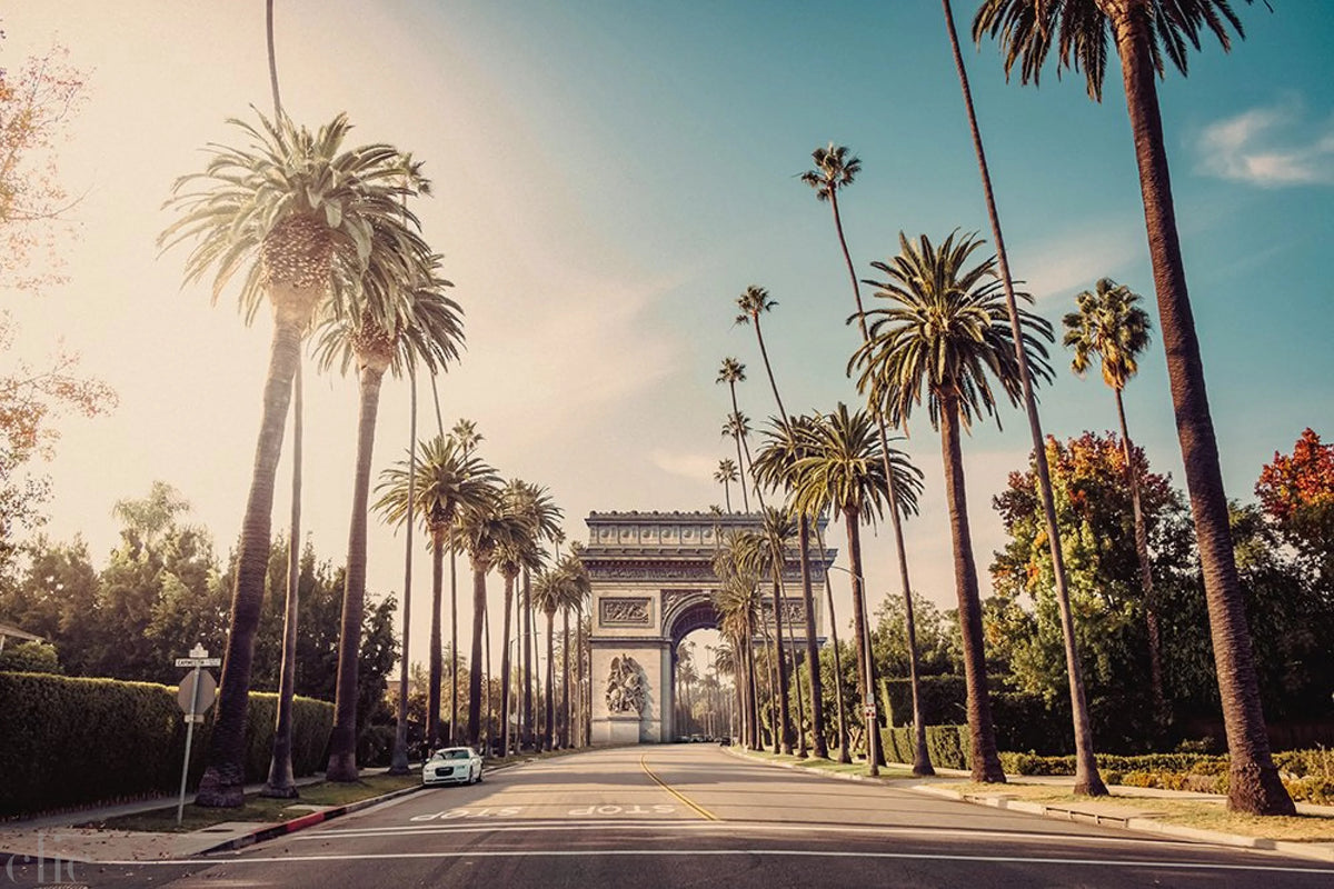 From Paris to Los Angeles, The Exile by Christopher Breal