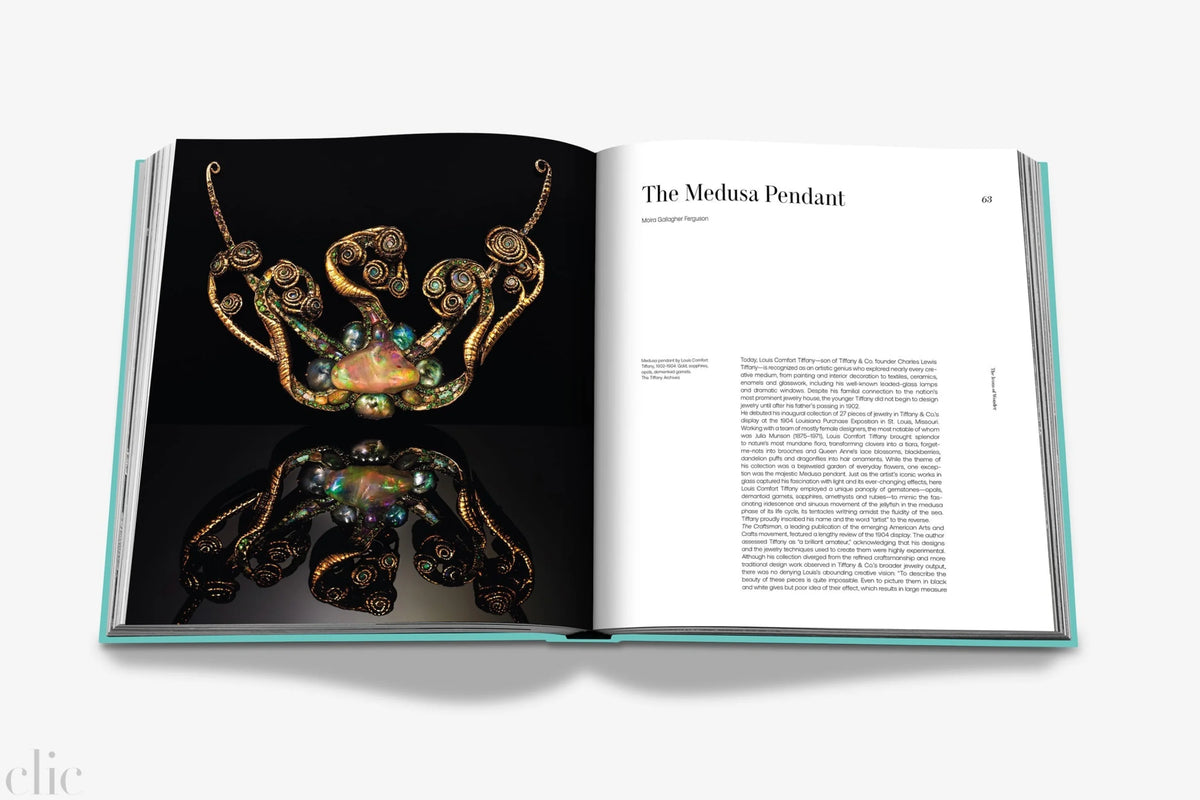 Open book showing an image of a Medusa pendant with text on a white background