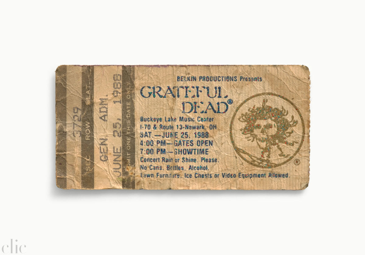 The Grateful Dead 1988 by Blaise Hayward